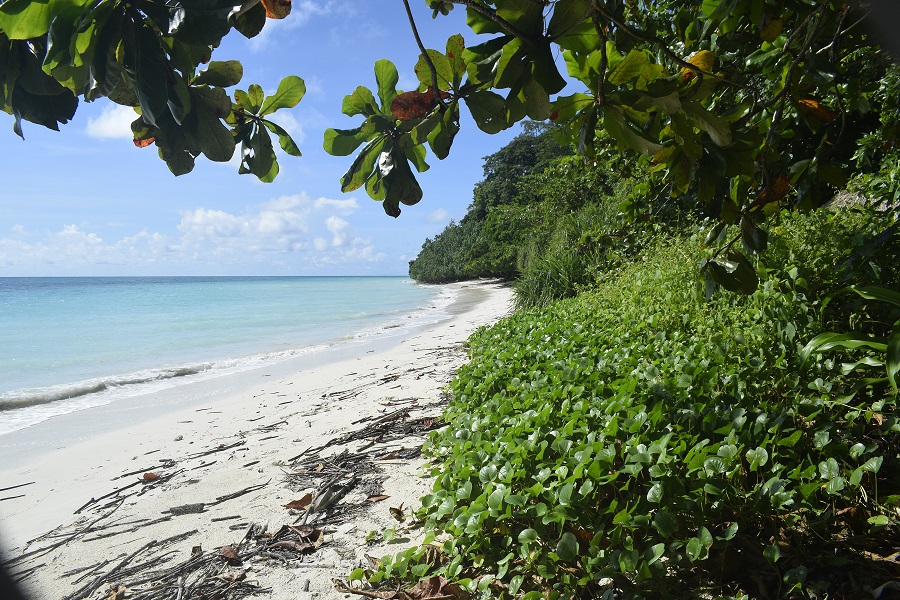 kalapathar beach havelock island